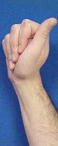 A hand in the straight fist position with thumb extending outward.