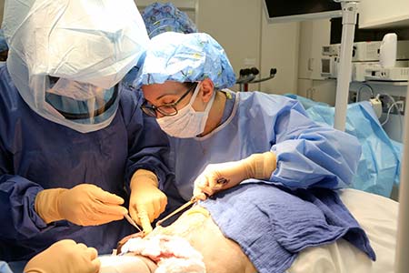 Fellows learn anesthesia blocks at the Cadaver Lab