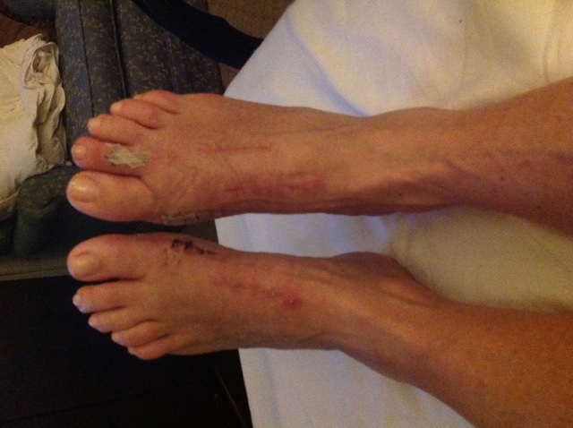 Teresa Josefina Lebron Hernandez