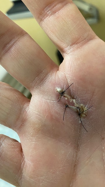 Mucio Athayde Loures Bandeira Dias