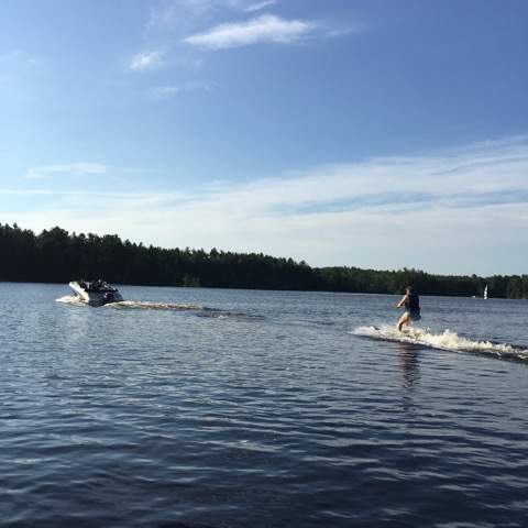 Wendy (Gwen) Aquadro