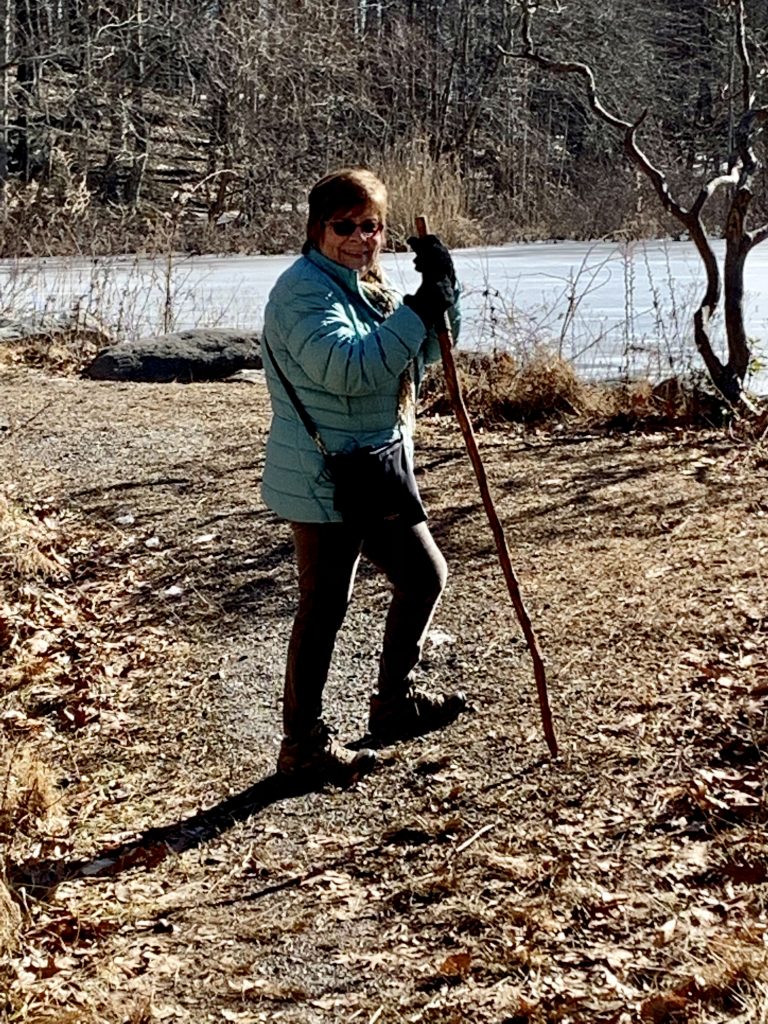 MaryEllen DiCostanzo