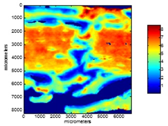 Image - Mineral/matrix distribution