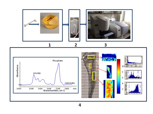 Image - steps of sample preparation