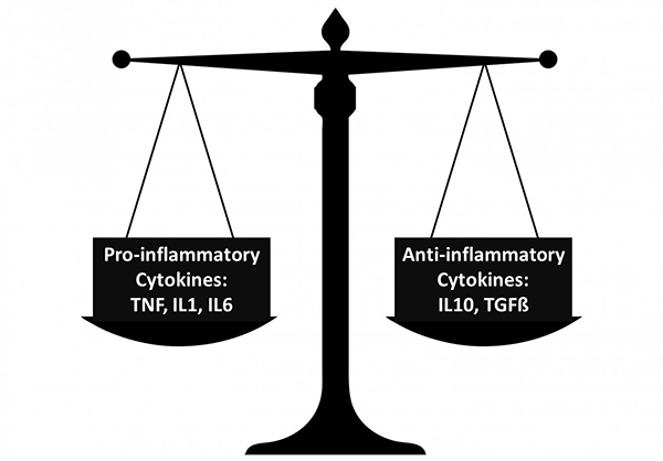 Biologic Therapy in RA