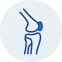 Knee Replacement