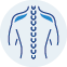 Spinal Fusion