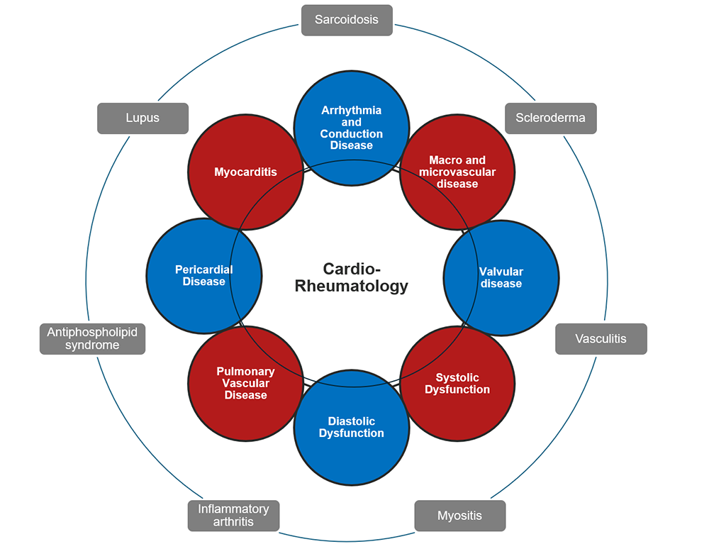 Diagram of cardio-rheum conditions treated