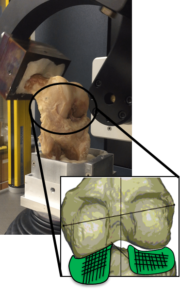 joint loading system