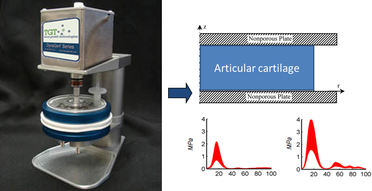 bioreactor