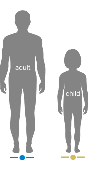 Image of Adult and Child Body