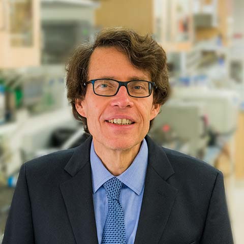 Dr. Ivashkiv
