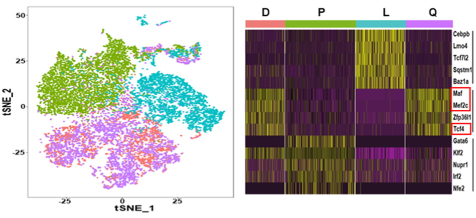 High-dimensional data visualization