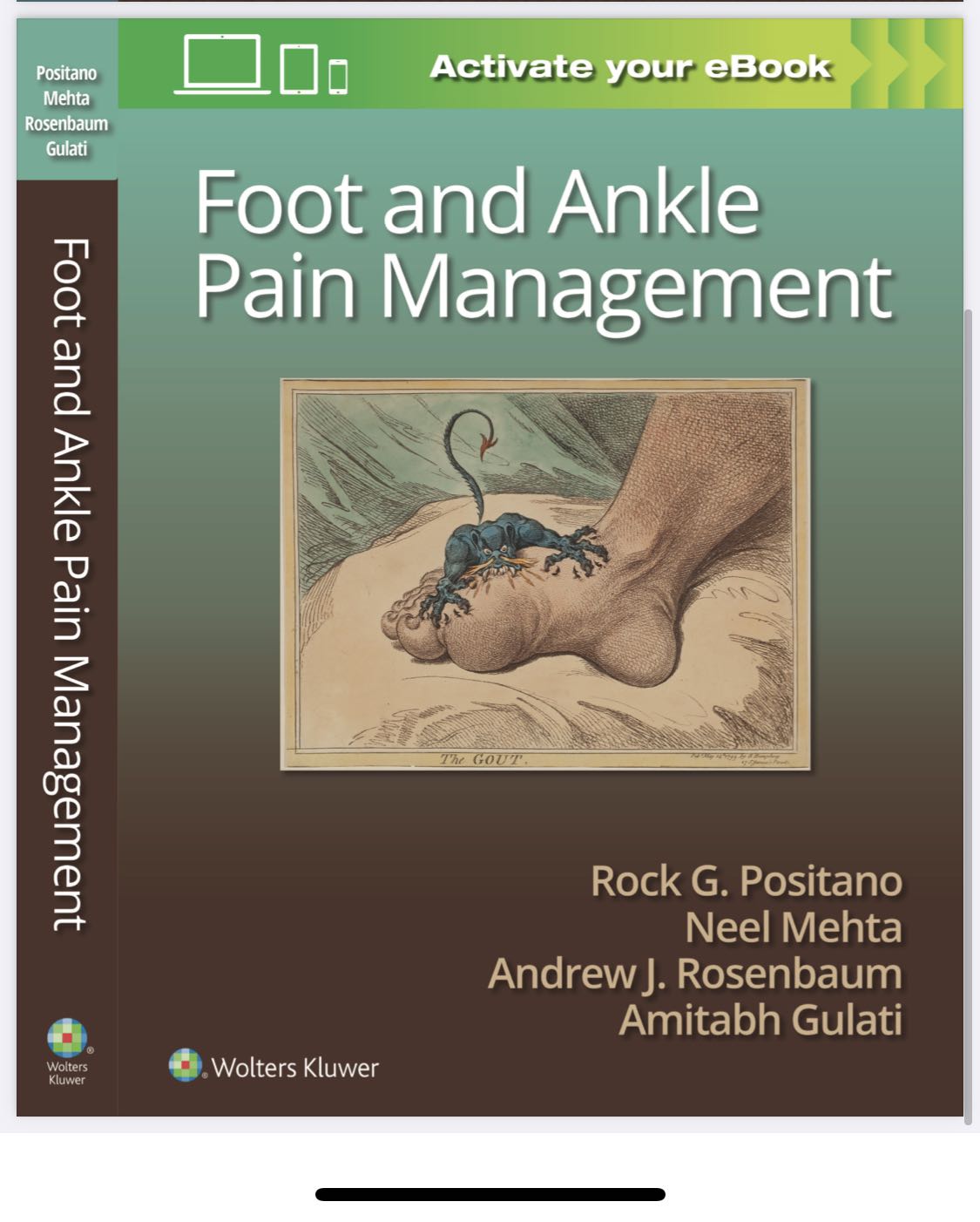 Foot and Ankle Pain Management cover
