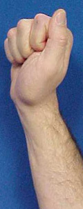 A hand in the straight fist position with thumb agatinst the index finger.