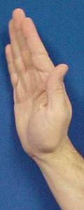 A hand in the open palm position.
