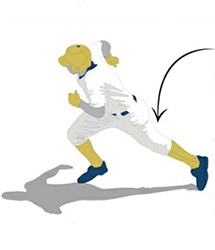 Illustration of a baseball player running and forces against the hamstring.