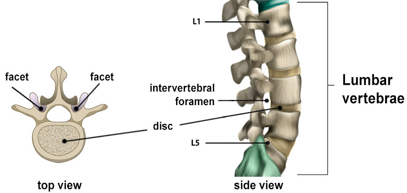 When Unlock Your Spine Reviews Competition is Good