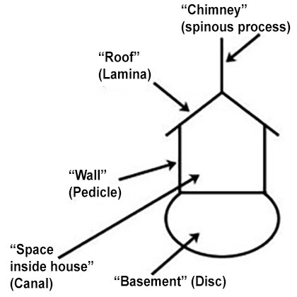 Illustration of the "house structure" analogy to describe parts of the spine vertebra.