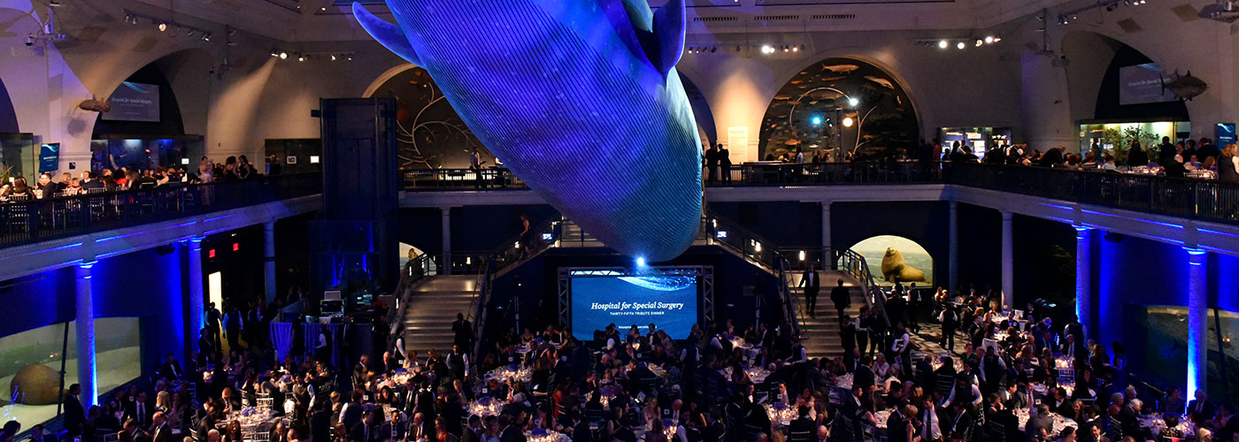 Banner image of the whale room at the American Museum of Natural History