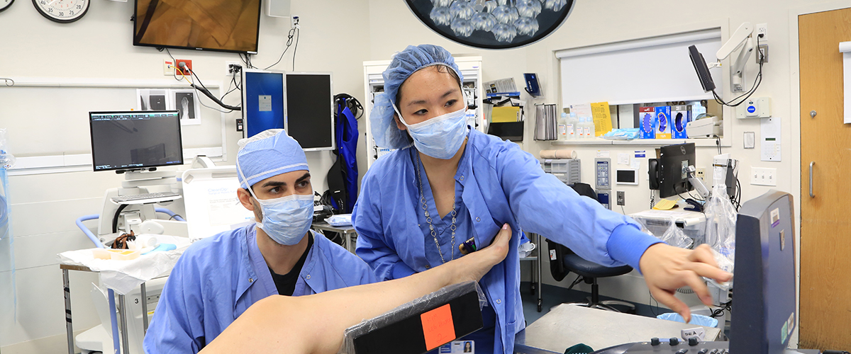 Image - Residency Director Stephanie Cheng, MD, teaches Georgetown resident Omar Shairzay, MD