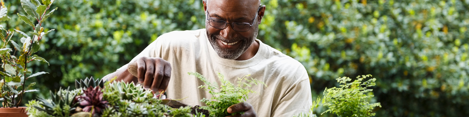 Banner image of a man tending to plants in his garden.