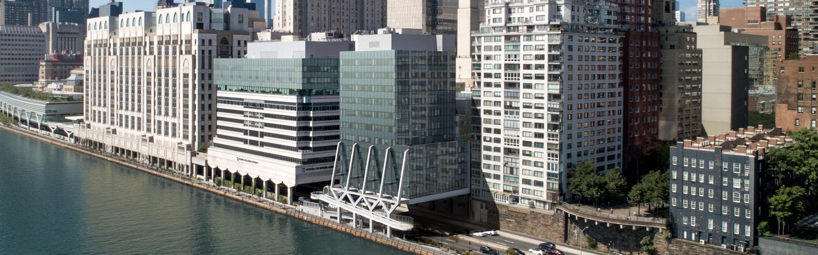 Photo of HSS Main Hospital and the River Building from across the East River.