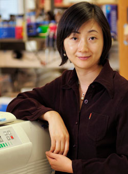 Photo of Xiaoyu Hu, MD, PhD