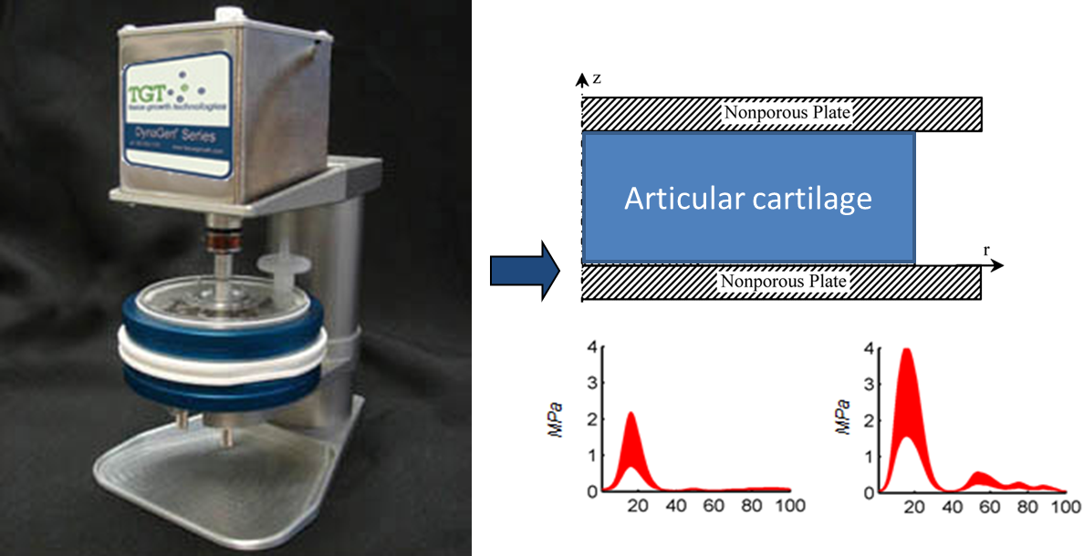 bioreactor