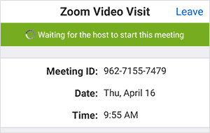 zoom waiting for host