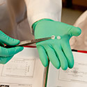 Close up image of a pair of hands holding small items with a tweezer