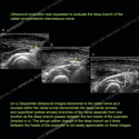 Image - Ultrasound Case 108 thumbnail