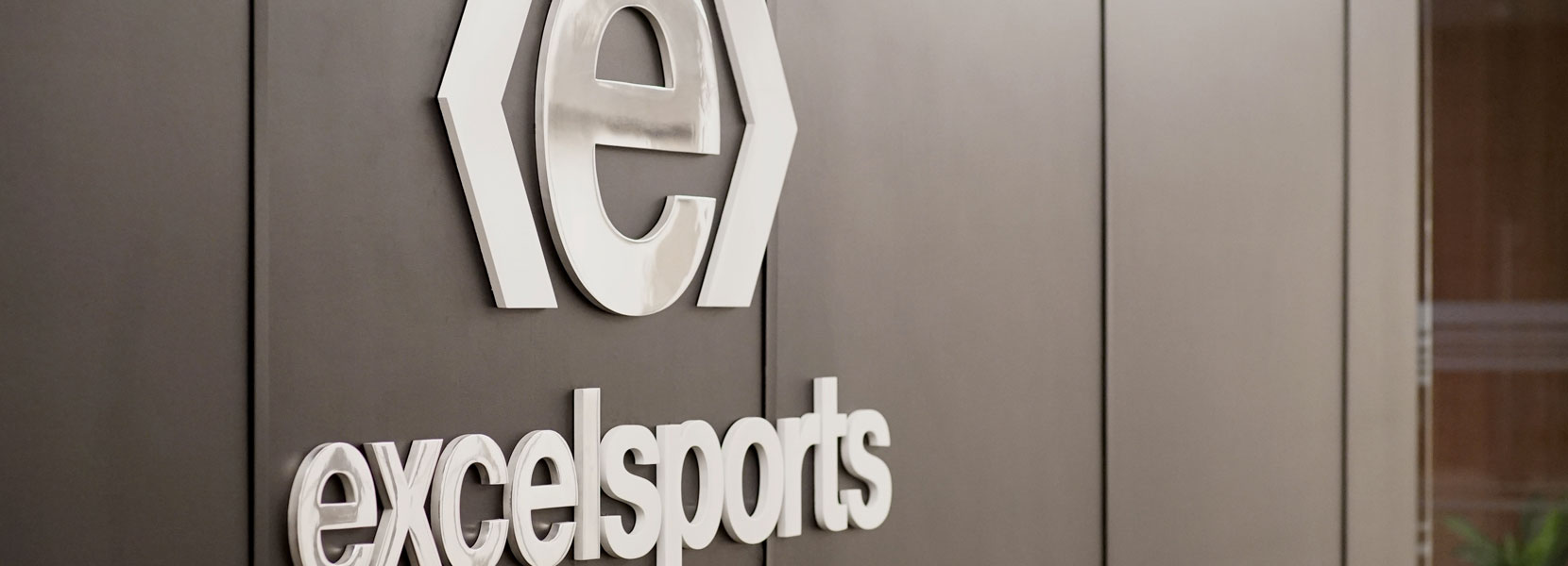 Banner image of Excel Sports Management logo