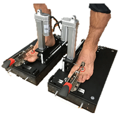 Foot Structure and Function Assessment Device