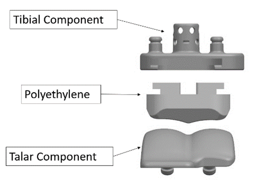 components of Exactech knee replacement