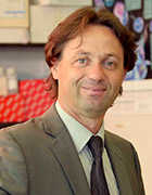 Image - headshot of Franck Barrat, PhD