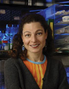 photo of Inez Rogatsky, PhD
