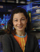 Image - headshot of Inez Rogatsky, PhD