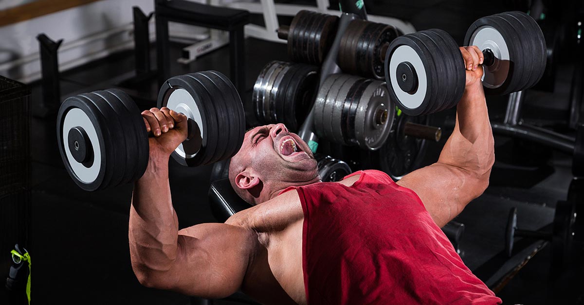 Pectoralis major online training