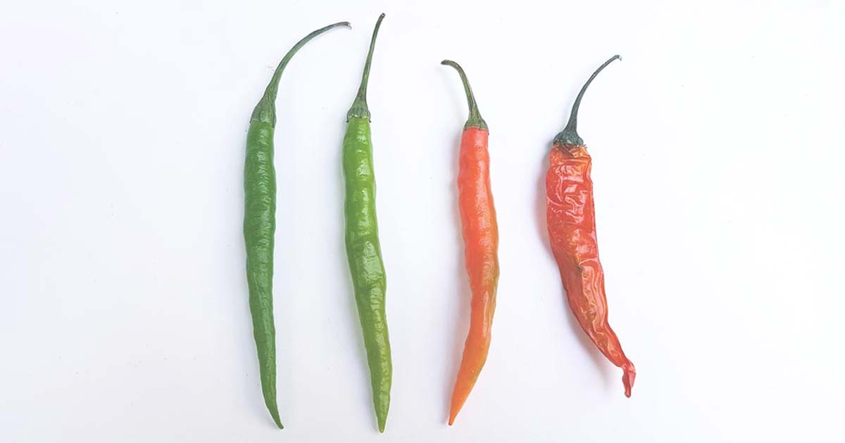 Image - Can Capsaicin Cream Help Joint Pain?