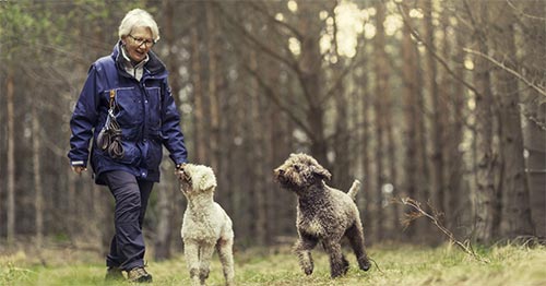 Older woman walking in the woods with her dogs.
