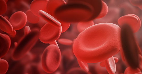 Red blood cells.