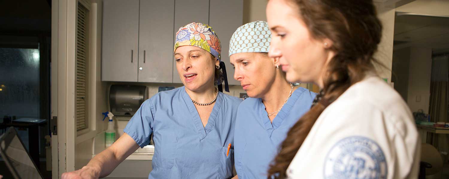 Banner image of Dr. Strickland, Dr. Shubin Stein and Sarah Tryon, NP.