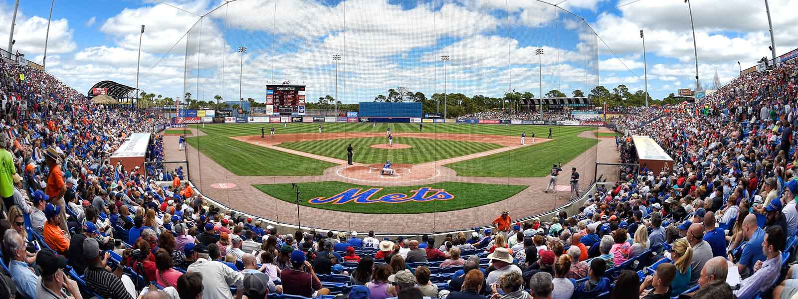 Image - St. Lucie Mets Logo